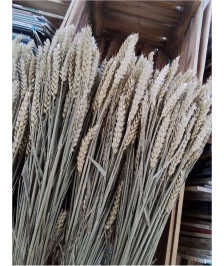 DECORATION
