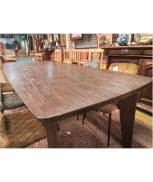 TABLE XOOON 220X100