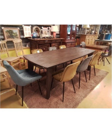TABLE XOOON 220X100