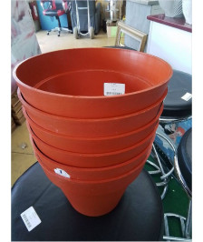 POT PM