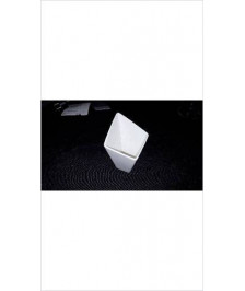 RAMEQUIN BLANC