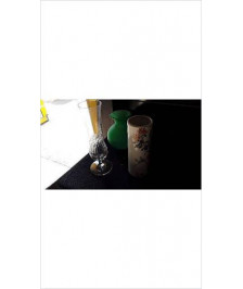 VASE PM