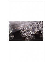 VERRES BISQUIT X6