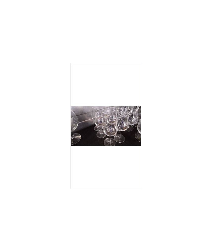 VERRES BISQUIT X6