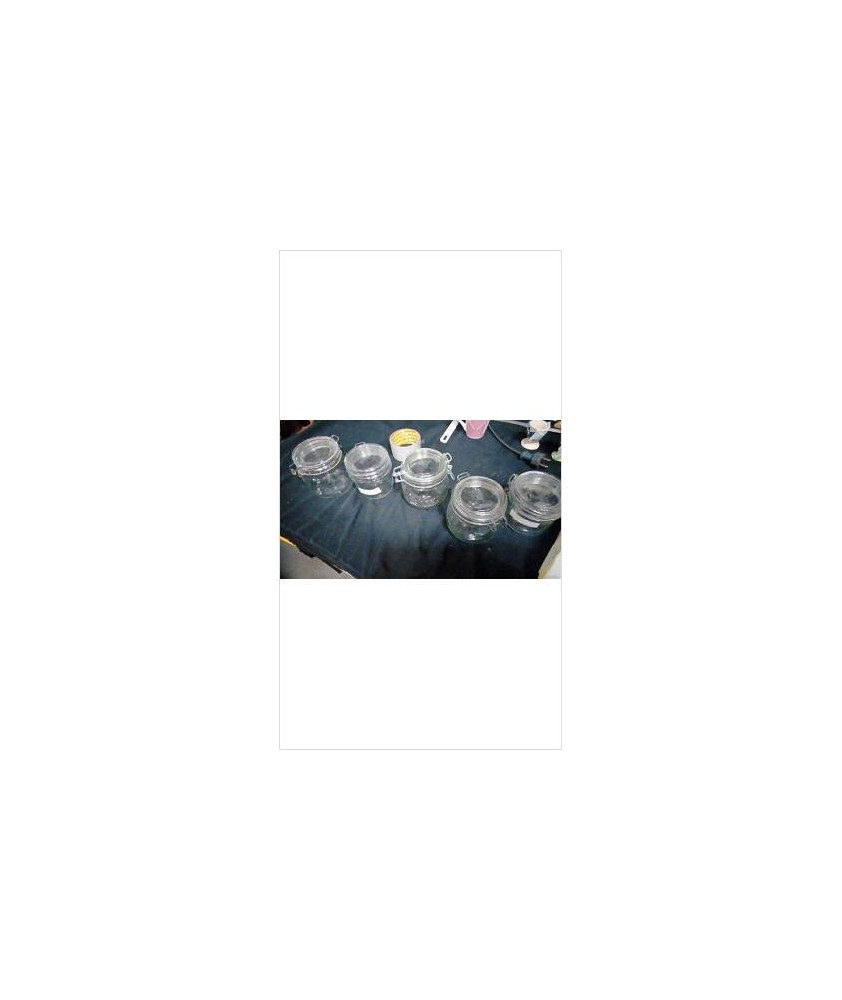 BOCAL