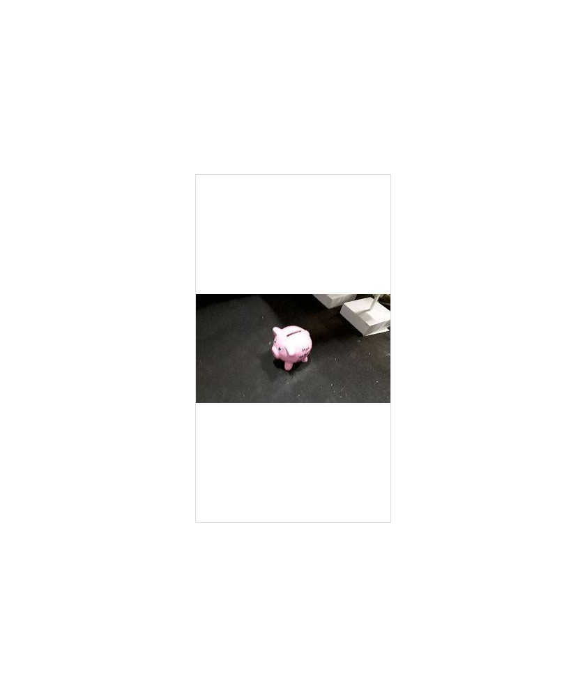 TIRELIRE COCHON