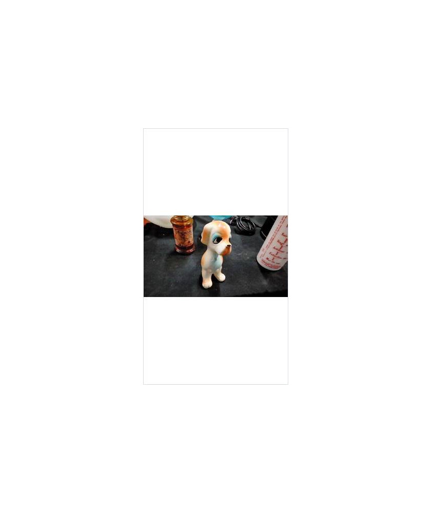DECO CHIEN
