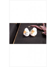 SEL POIVRE CANARD