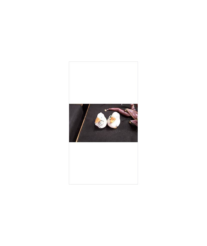 SEL POIVRE CANARD