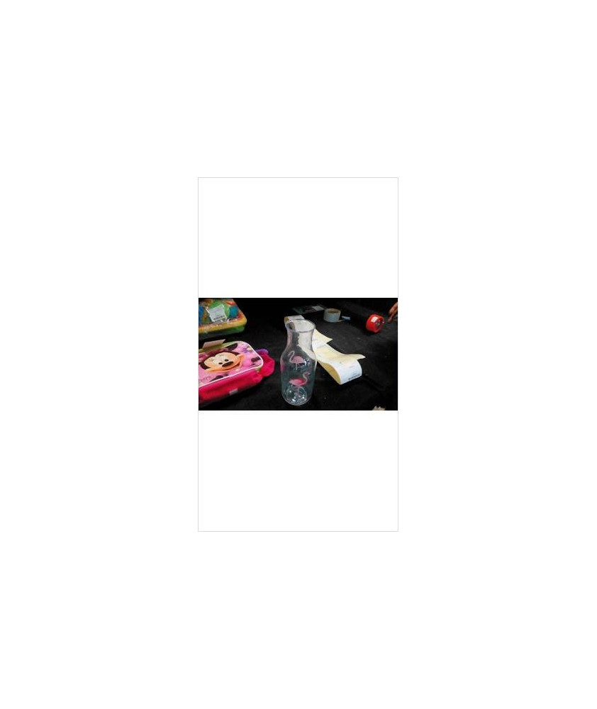 BOUTEILLE PLASTIQUE FLAMAND ROSE