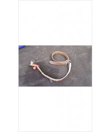 COLLIER ANIMAL