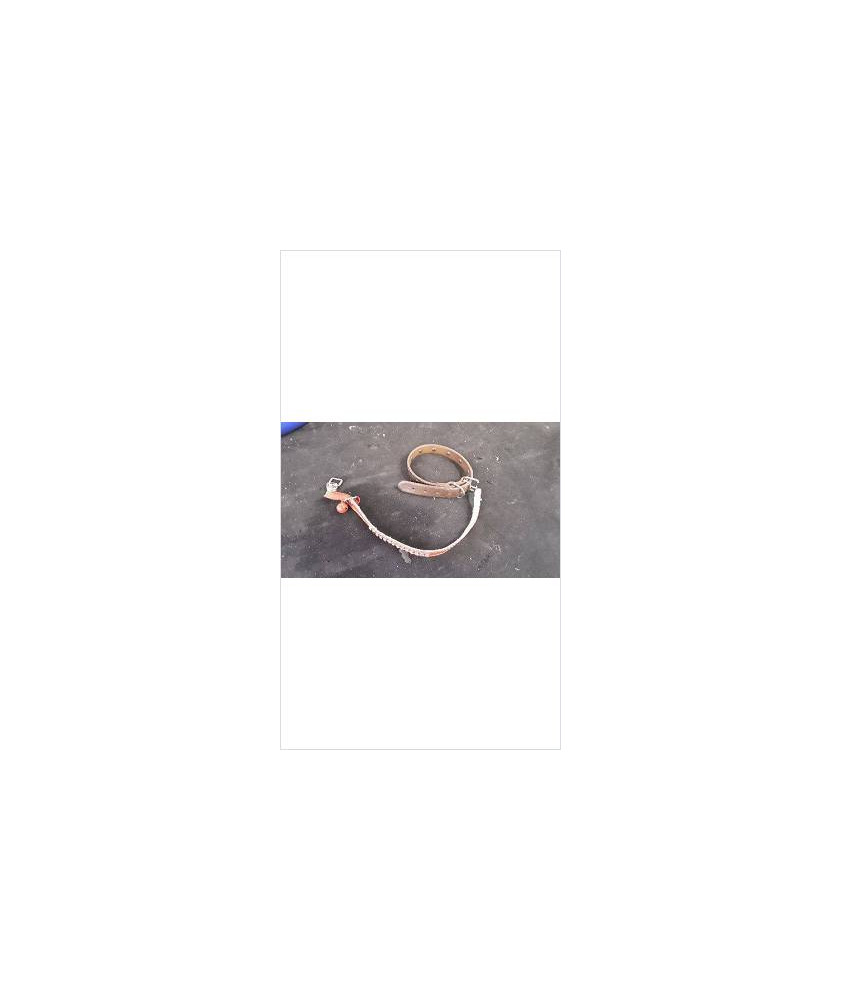 COLLIER ANIMAL