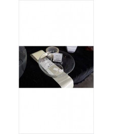 SALADIER VERRE