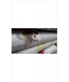 TOILE CIREE FIRST CAT BLANC 1M40