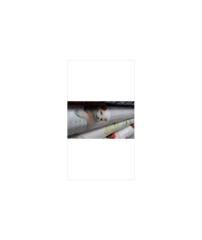 TOILE CIREE FIRST CAT BLANC 1M40
