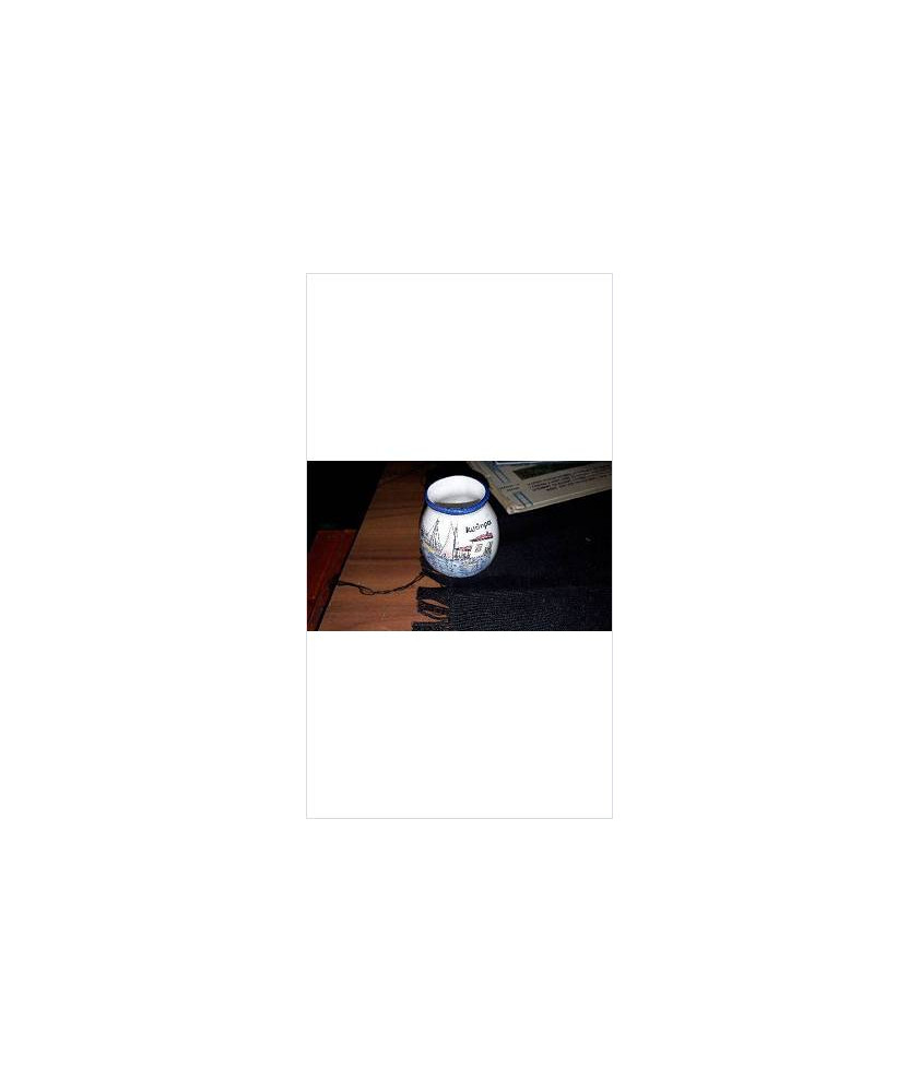 VASE PM