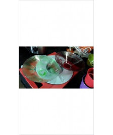 COUPELLES VERRE X2