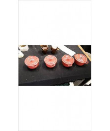 COCOTTE ROUGE PM