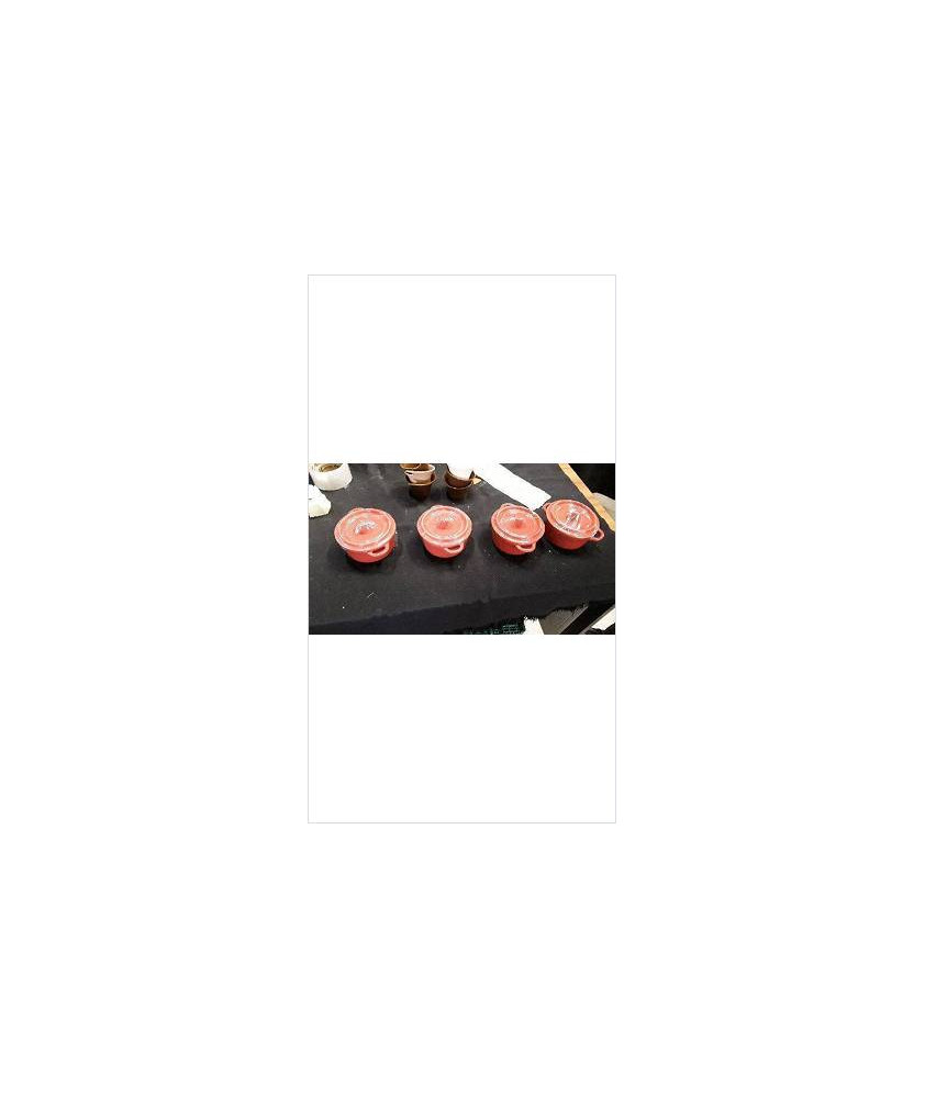 COCOTTE ROUGE PM