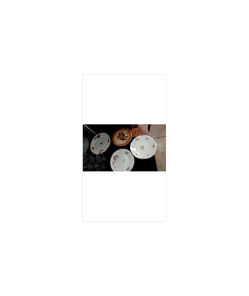 ASSIETTES X2