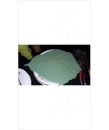 PLATEAU FEUILLE 