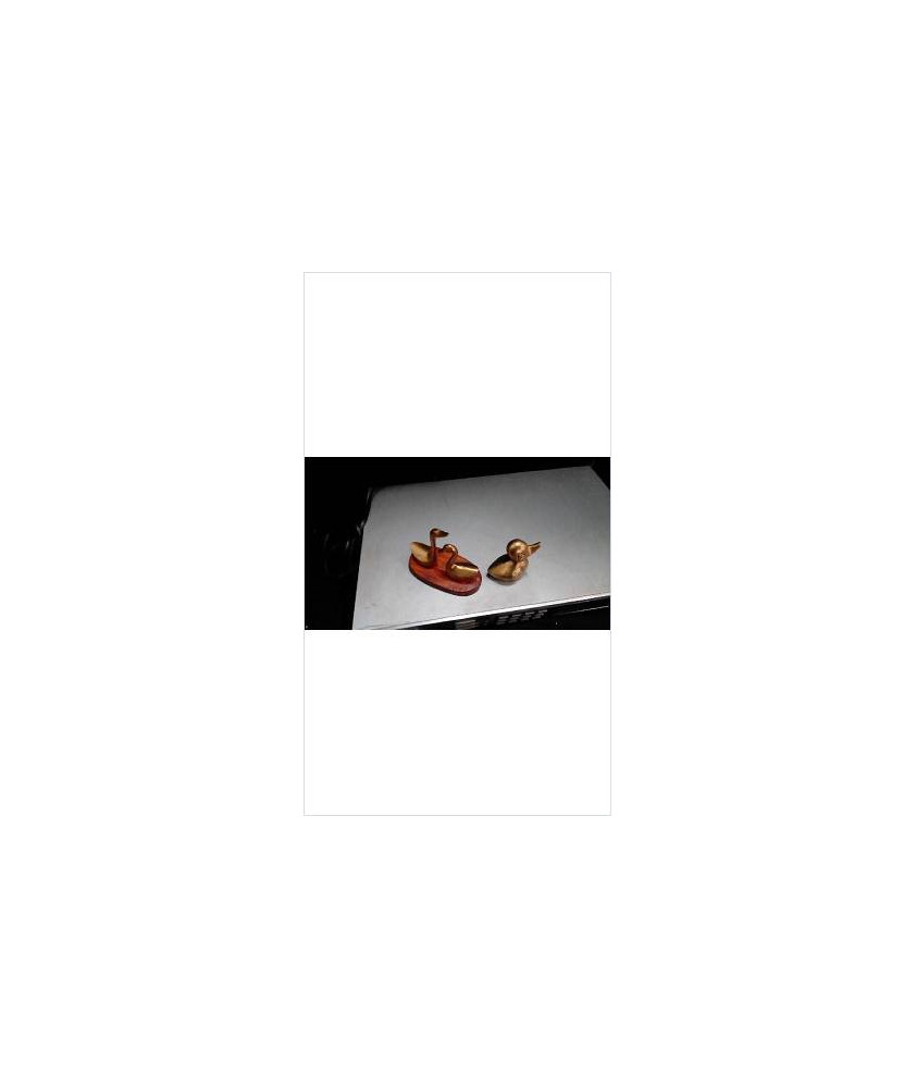 CANARD