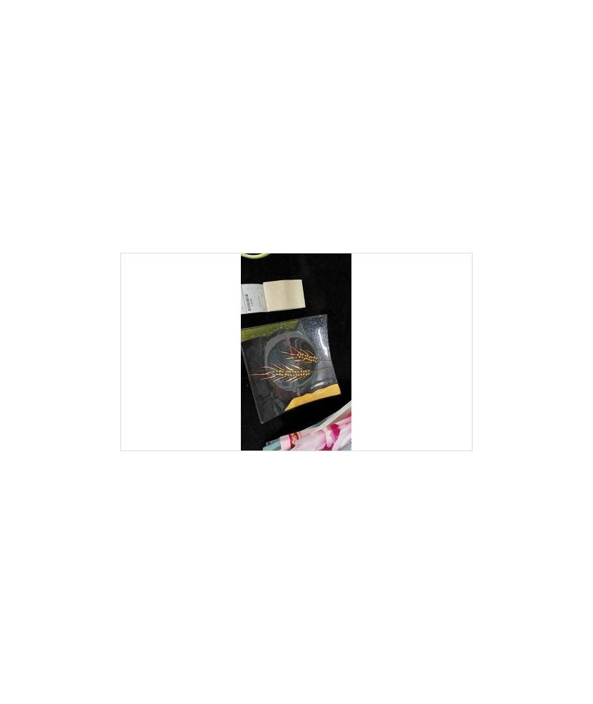 PLAT VERRE CARRE