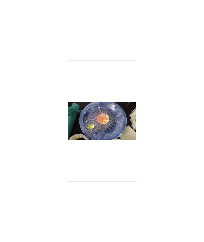 ASSIETTE BLEU