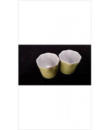 TASSE VERT X2