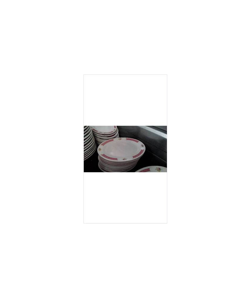PLATS OVALES BORDS ROSES PM X4