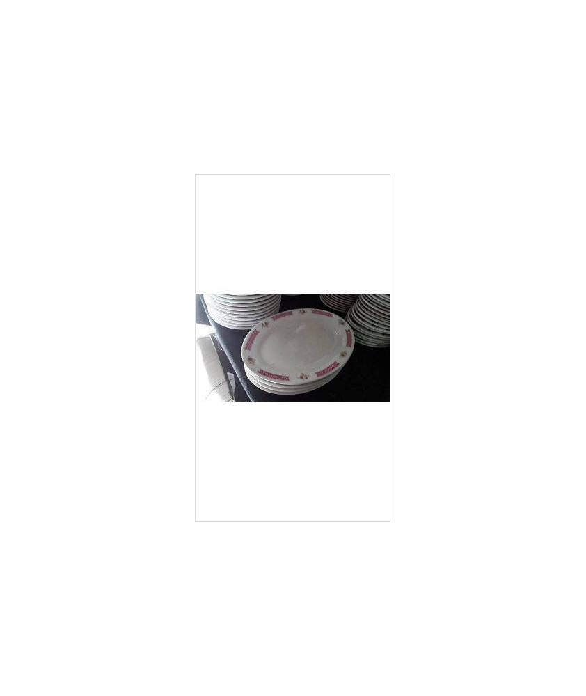 PLATS OVALES BORDS ROSES GM X3