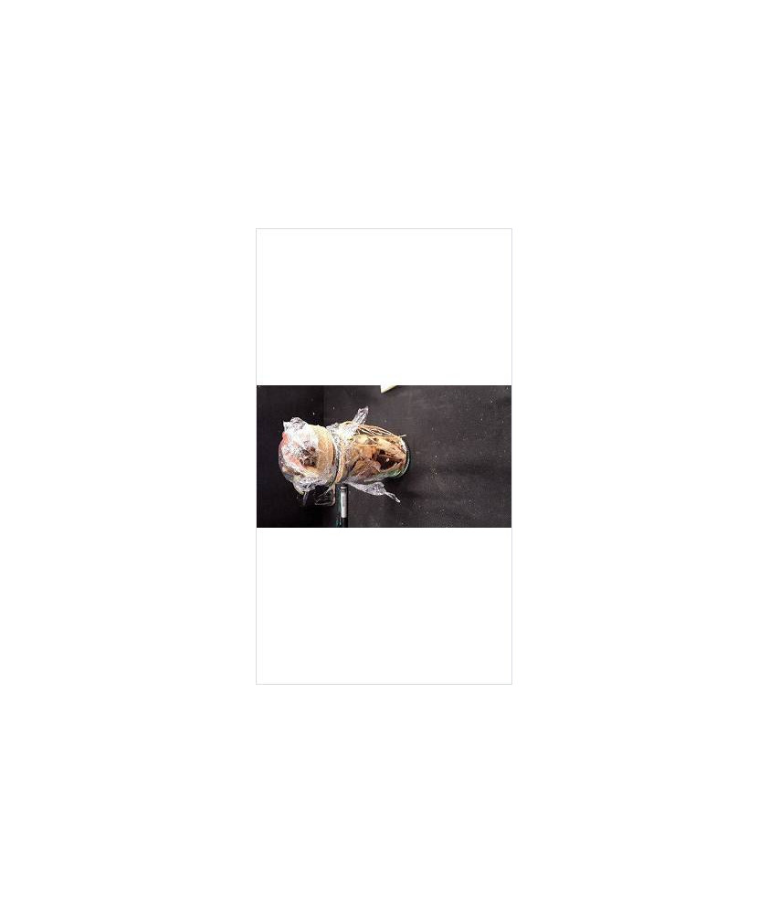 DECO POT POURRI