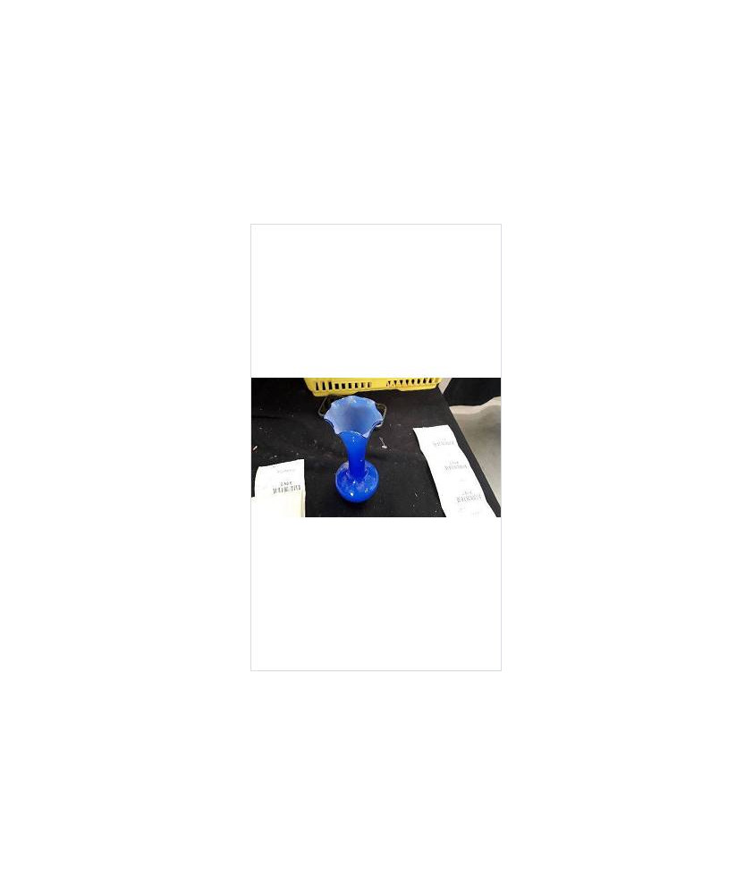 SOLIFLORE BLEU