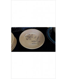 PLAT GRES ROND EN L\'ETAT