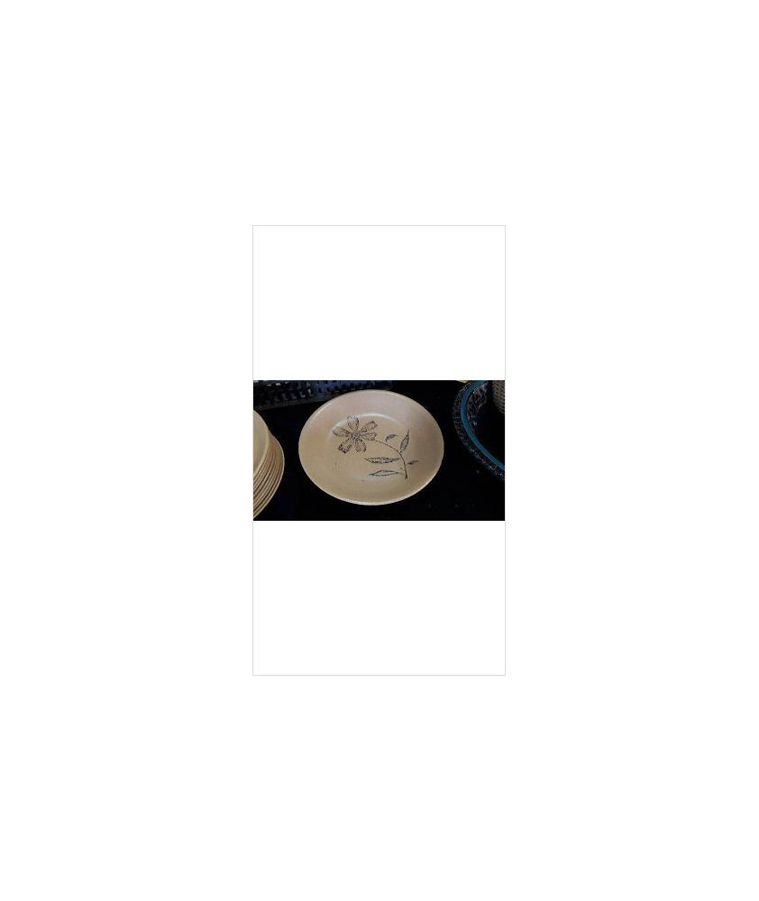 PLAT GRES ROND EN L\'ETAT