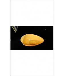 SAUCIERE SALINS JAUNE