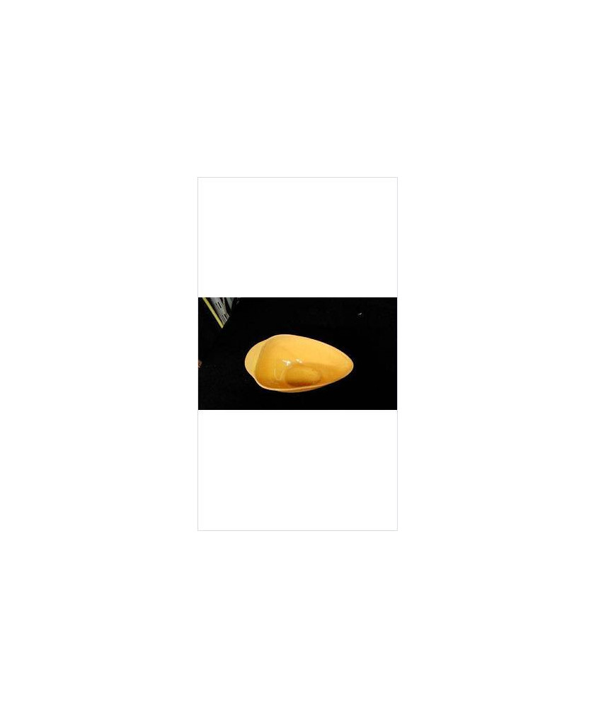 SAUCIERE SALINS JAUNE