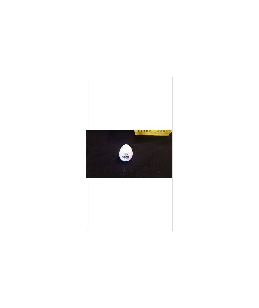 DECO OEUF