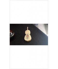 BOITE VIOLONCELLE PM