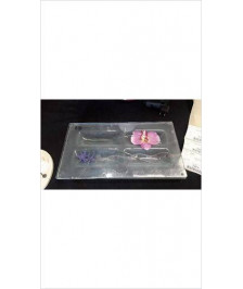 DECO FLEURS SOUS VERRE