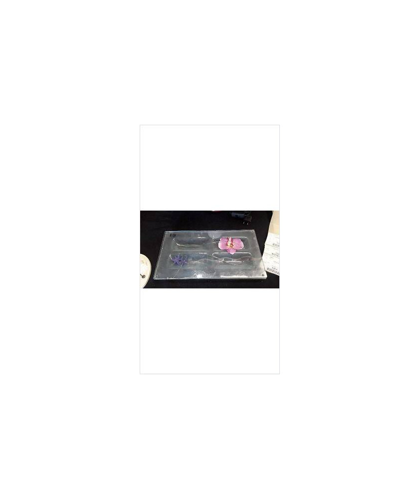 DECO FLEURS SOUS VERRE