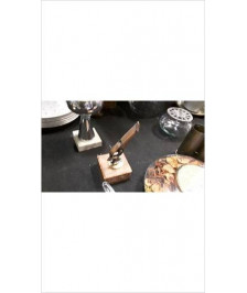 TROPHEE ARBITRE