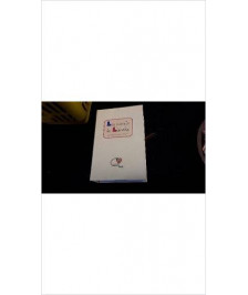 CARNETS DE LIENEKE