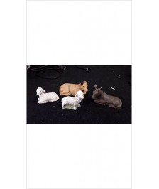 DECO SANTON ANIMAUX