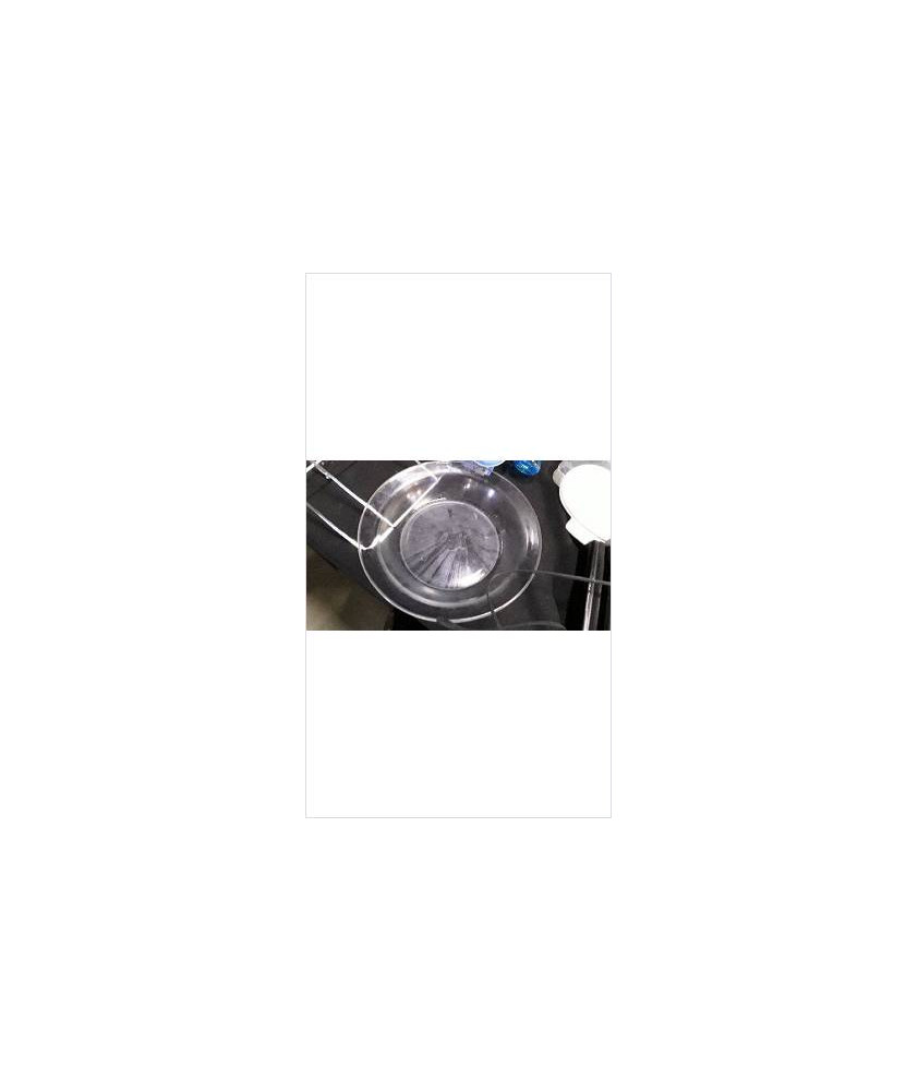 PLAT CREUX VERRE