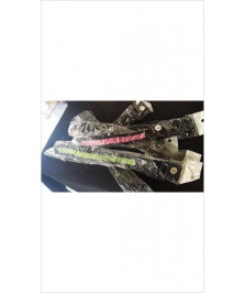 COLLIER CHIEN PM
