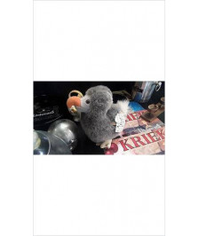 PELUCHE DODO