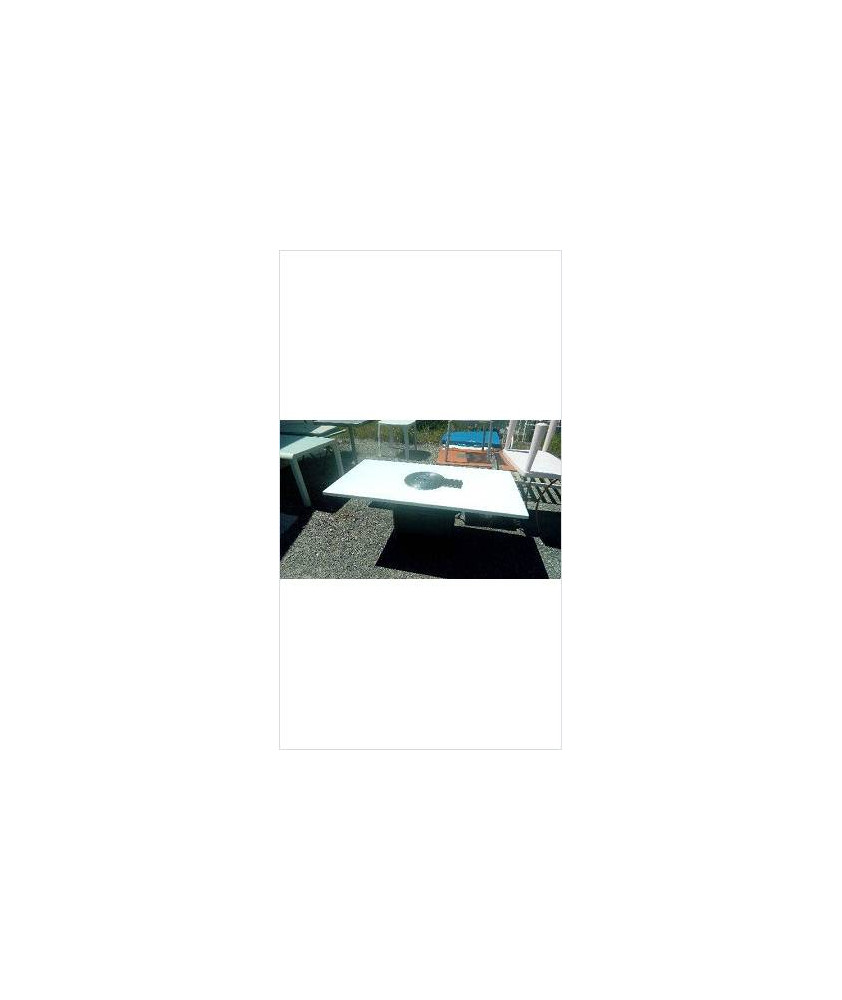 TABLE 160X80 BARBECUE INTÉGRÉ 