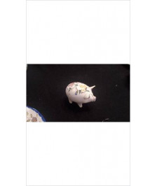 SALIERE COCHON