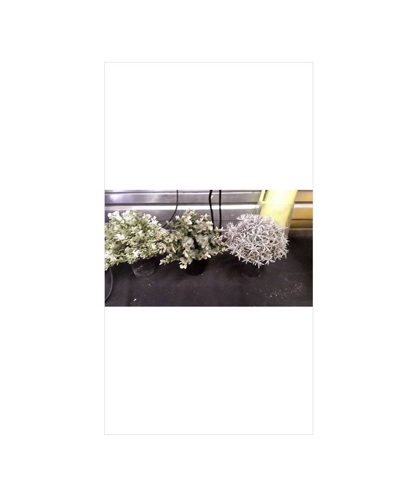 PLANTE ARTIFICIELLE 